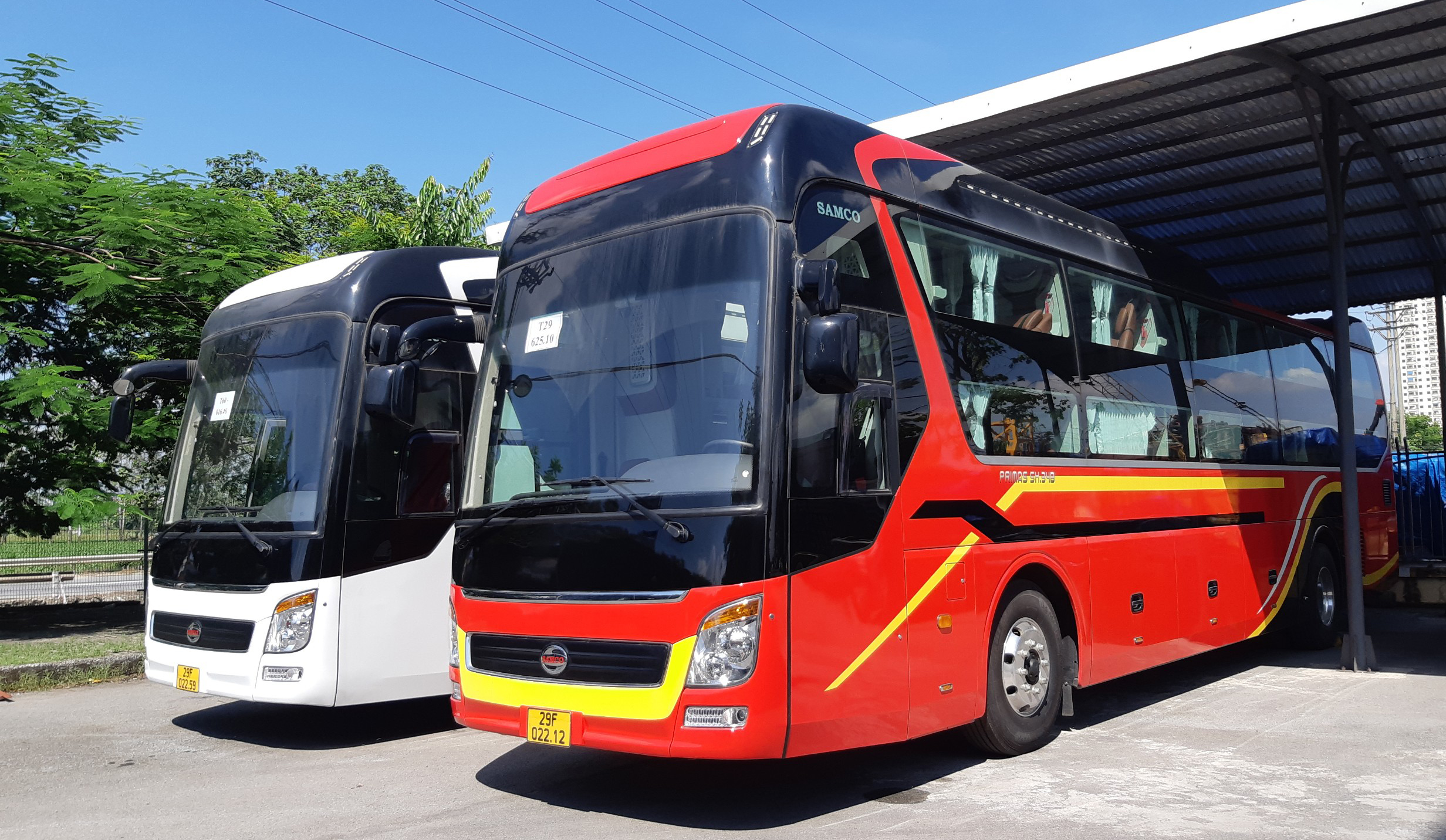 2 xe giường cao cấp Samco